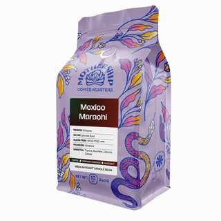 Mexico Marachi