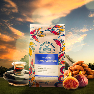 Mexico Veracruz Altura