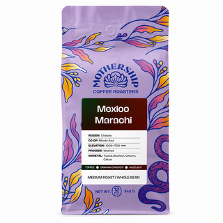Mexico Marachi