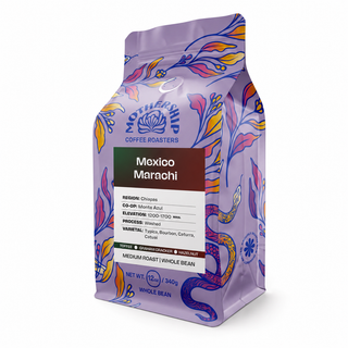Mexico Marachi